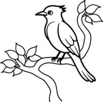 Hand-drawn outline of a bird perched on a tree. Linear and original illustration design of a pet bird, isolated on a white background. vector