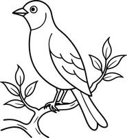 Hand-Drawn Bird Outline Perched on a Tree - Linear Pet Bird Illustration Design vector