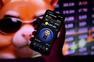 KYIV, UKRAINE - APRIL 20, 2024 Hamster Kombat telegram bot on smartphone screen. Hamster Kombat is a viral Telegram-based crypto game for earn HMSTR tokens by managing virtual crypto exchange photo
