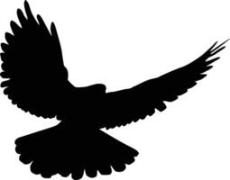 Pigeon silhouette full body illustration. Bird pose silhouette. vector