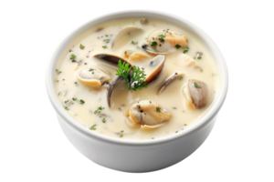 Clam chowder soup or curry isolated on transparent background. png