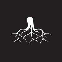 root of the tree icon vector