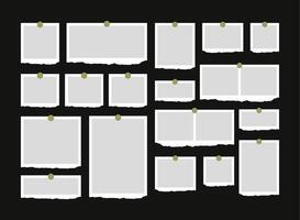 collage frame template for photos and images vector