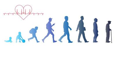 Men, stages of development. Decorated with a gradient. Life from birth to old age. vector