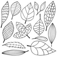 Abstract doodle leaves line art style set vector