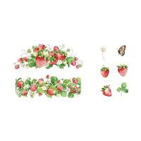 Watercolor straberry, leaves and flowers set with frame vector