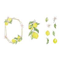 Gold frame with watercolor lemon, leaves and flowers set vector