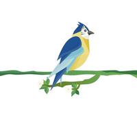 Parrot sitting on a tree branch. vector