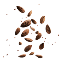 Flying almonds isolated on transparent background png