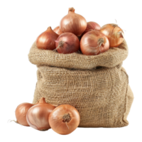 Raw fresh onions in burlap bag isolated on transparent background png