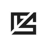 Letter Ms rectangle shape modern unique logo vector