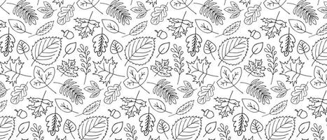 Autumn pattern with hand drawn leaves. Autumn black and white background vector