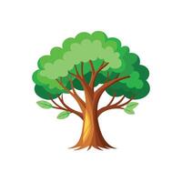 a tree with leaves and branches on a white background vector