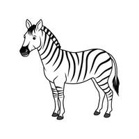 a zebra is standing in a line on a white background vector