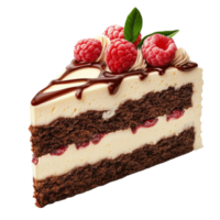Chocolate Raspberry Cake Slice AI-Generative png