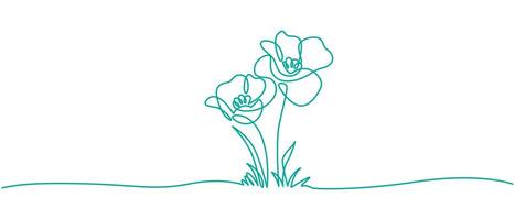 continuous single line drawing of wild flower, corn poppy line art illustration vector