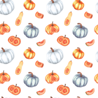 Seamless pattern with white, orange pumpkins, butternut squash and slices. Fall pattern for textile, wrapping paper, curtain, tablecloth. Hand-drawn watercolor illustrations. png
