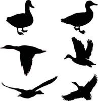 Flat design duck silhouettes vector