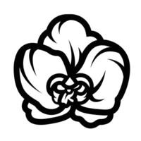 Moth orchid flower petal icon illustration isolated on square white background. Simple flat outlined cartoon art styled drawing. vector