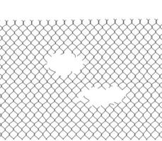Hole in the mesh wire fence, hole in a chain-link fence, broken wire mesh fence vector