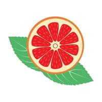 Ripe Grapefruit Round Slice With Green Leaves vector