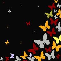 Colorful Butterfly Pattern On Black Background vector