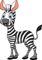 Cartoon happy zebra isolated on white background vector