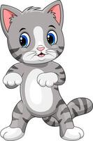 Cartoon happy cat on white background vector