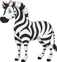 Cartoon happy zebra isolated on white background vector