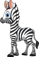 Cartoon happy zebra isolated on white background vector