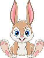 Cartoon cute baby rabbit sitting vector