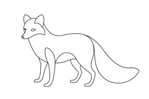 Arctic fox Continuous line art illustration on white background vector