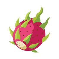 Dragonfruit flat illustration on white background vector