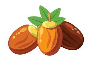 Dates Fruit flat illustration on white background vector