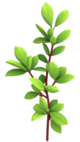 Illicium Bush in 3D Illustration with Transparent Background png