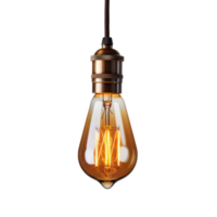 Vintage Edison Light Bulb on Isolated Background. Retro Classic Lightbulb png