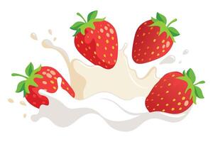 Fresh strawberries and milk splashing flat illustration on white background vector