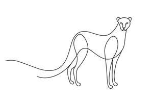Cheetah Continuous line art illustration on white background vector