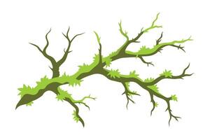 Moss covered branch, devoid of leaves, showcasing vibrant green moss flat illustration on white background vector