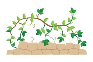 Vines climbing on a stone wall, adding a touch of nature flat illustration on white background vector