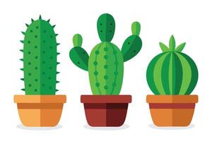 Three distinct cactus plants displayed on a transparent background, showcasing their unique shapes and textures illustration set on white background vector