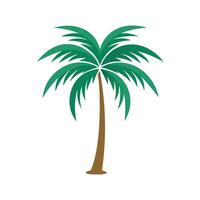 Minimalistic palm Tree flat illustration on white background. vector
