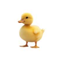 3D Animated Beige Duck with Black Eye and Brown Beak png
