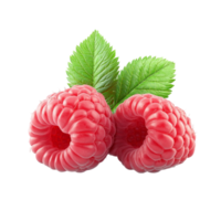 Fresh Raspberry with Leaves png