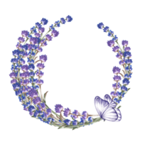 Lavender. A wreath of lavender with a butterfly. A round frame made of purple flowers. A watercolor illustration made by hand. Highlight it. An element of the design of packaging, postcards and labels png