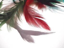 Vibrant feather fluffy, colorful texture background photo