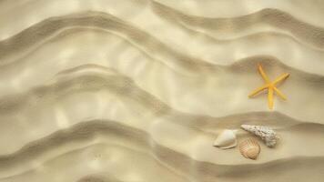 Seabed sand. Starfish and beautiful seashells on the ocean floor. Seamless loop animation. video
