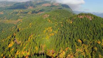 Aerial view of colourful forest on mountain slopes and cloudy sky. Canada video