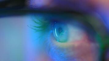 Woman in glasses looking on the monitor and working with data and analytics. video