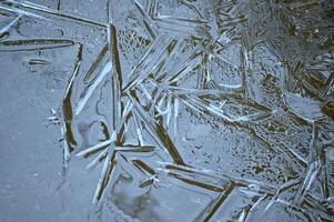 ice crystals on the ground photo